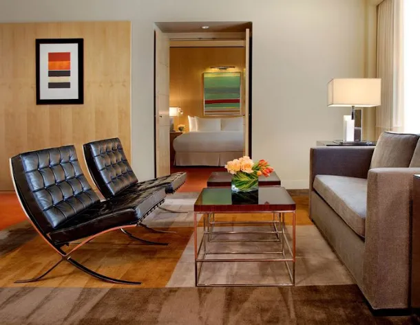Iconic Barcelona armchair by Alivar